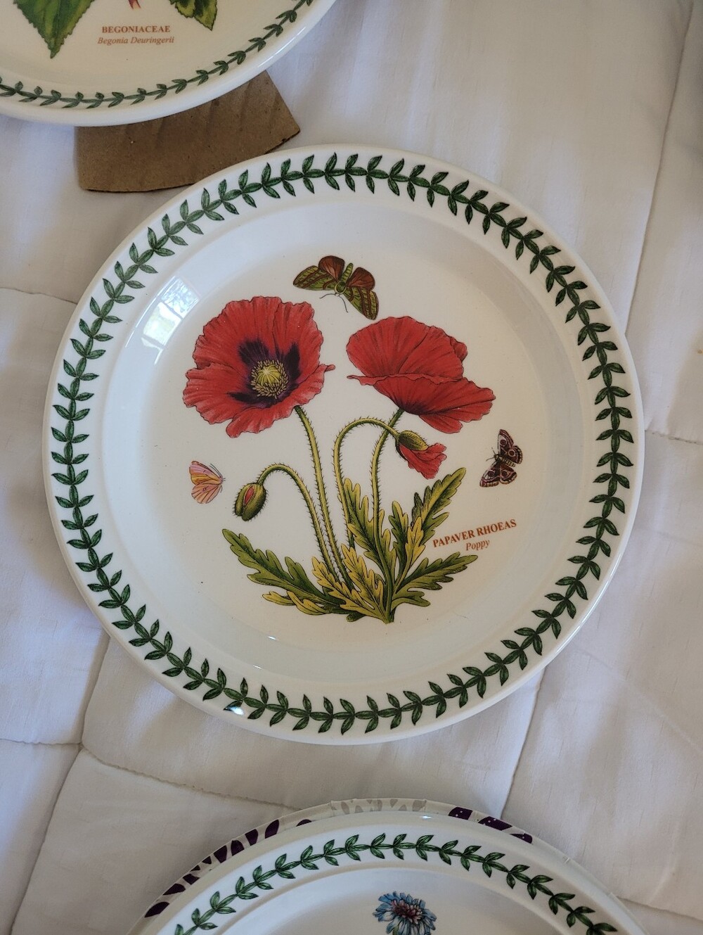 Portmeirion Botanic Garden Salad Plate Poppy 8.5in NWOT